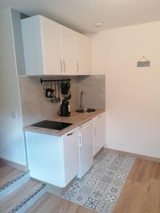 Location Appartement T2 38 M2 2 Chambres Allevard Eksteriør billede